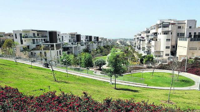 צילום: יריב כץ צילום: יריב כץ