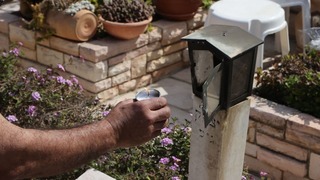 בית העלמין בית קברות קריית שאול