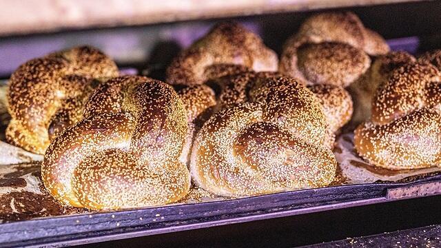 צילום: טל שחר צילום: טל שחר