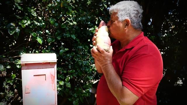 צילום: ירון שרון צילום: ירון שרון