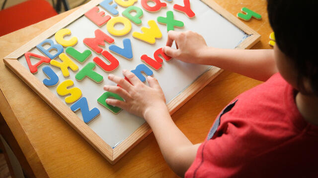 צילום: Shutterstock צילום: Shutterstock