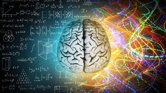 אילוסטרציה: Shutterstock אילוסטרציה: Shutterstock