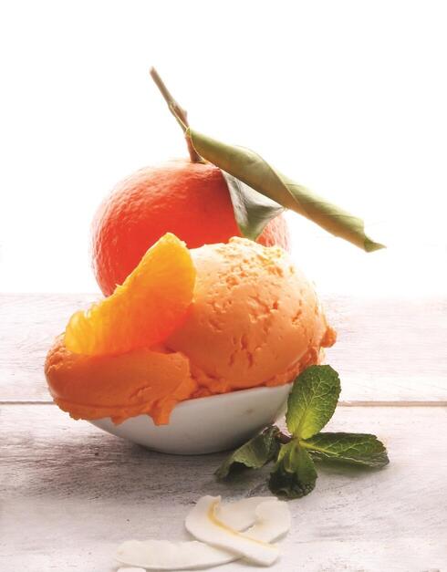 צילום: Shutterstock צילום: Shutterstock