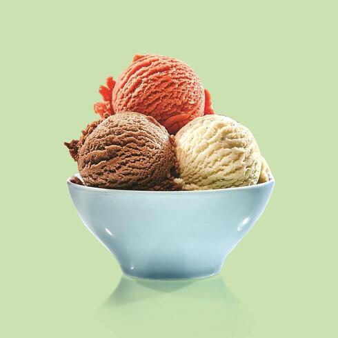 צילום: Shutterstock צילום: Shutterstock