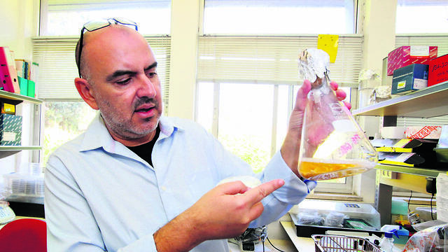 צילום: שאול גולן צילום: שאול גולן