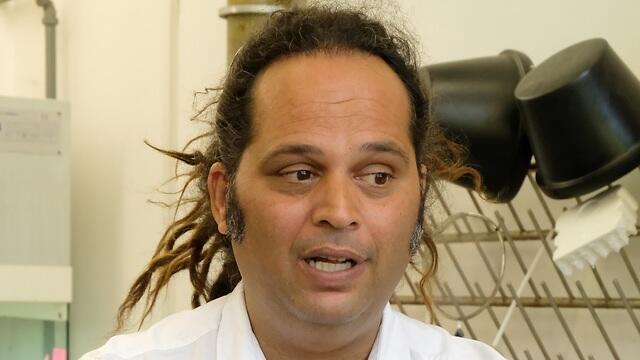 צילום: שאול גולן צילום: שאול גולן