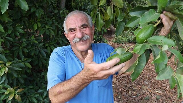צילום: אלעד גרשגורן צילום: אלעד גרשגורן