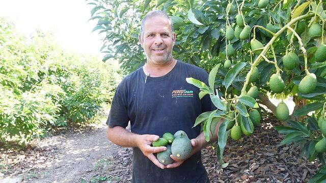 צילום: חיים הורנשטיין צילום: חיים הורנשטיין