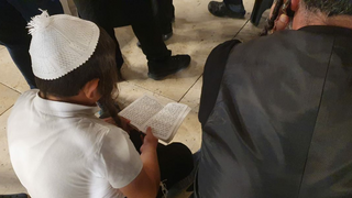 מתפללים בכותל המערבי