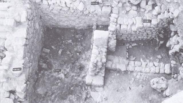 צילום: באדיבות פרופ' אברהם פאוסט, משלחת חפירות תל עיטון צילום: באדיבות פרופ' אברהם פאוסט, משלחת חפירות תל עיטון