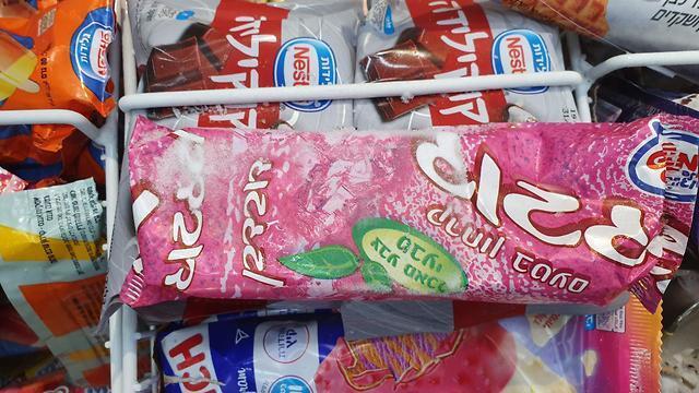 צילום: מירב קריסטל צילום: מירב קריסטל