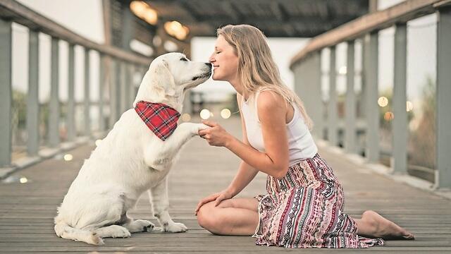 צילום: קרן - צילום מכל הלב, Keren_photography צילום: קרן - צילום מכל הלב, Keren_photography