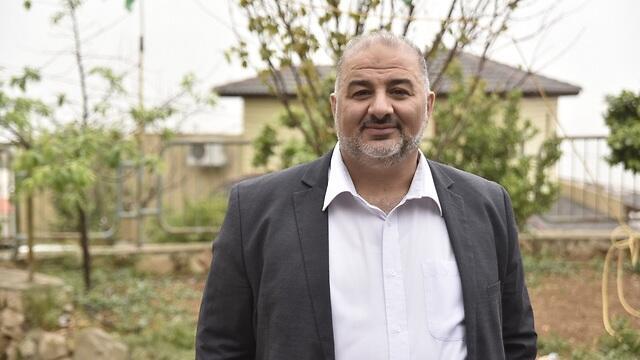 צילום: שרון צור צילום: שרון צור