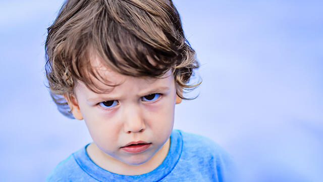 צילום: Shutterstock צילום: Shutterstock