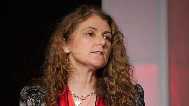 צילום: ויקיפדיה צילום: ויקיפדיה