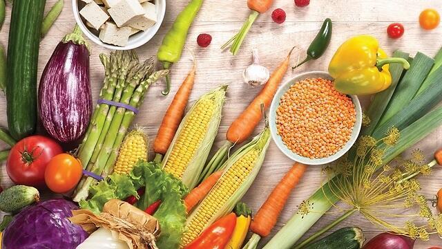 צילום: Shutterstock צילום: Shutterstock