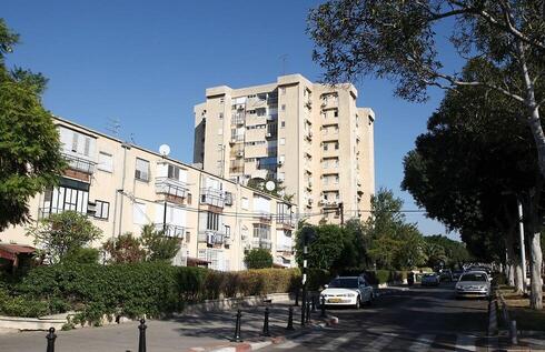 צילום: אוראל כהן צילום: אוראל כהן