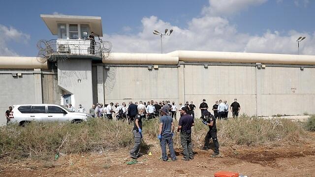 צילום: EPA צילום: EPA