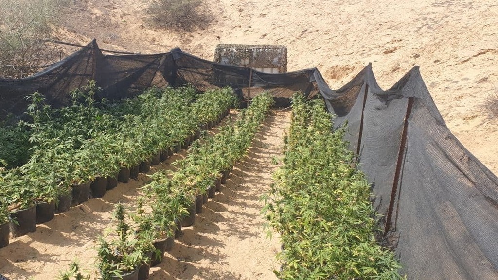 הרשות והערבים קונים קרקעות בצפון הארץ אלפי דירות נרכשו בתוך שנה BkWjWsVm8K_204_0_1077_606_0_x-large