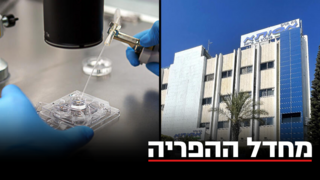 אסותא הפריה IVF