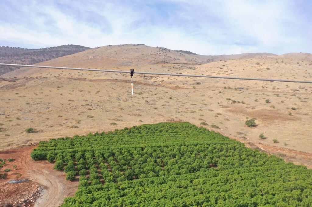 תיליונים של חברת קרונוס 