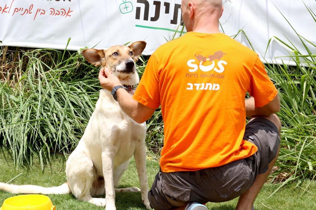 יום המעשים הטובים בעמותת SOS חיות