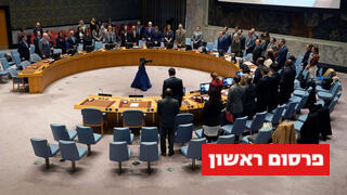 מועצת הביטחון של האו"ם דקת דומיה 