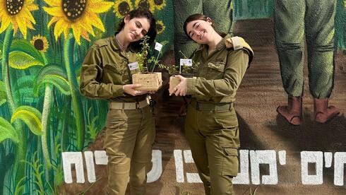 ייחורים, לזרוע אור