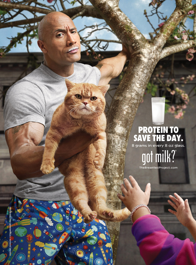 The Rock הקשוח (דוויין דאגלס ג'ונסון) מציל חתלתול מהעץ ומככב בכרזה משנת 2013