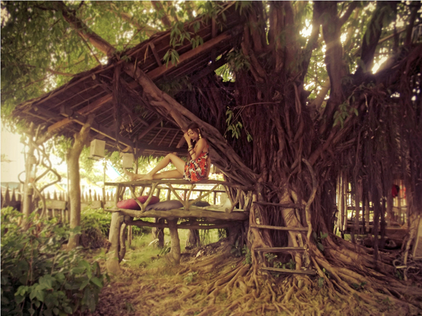 בית-עץ באלט באי קאבוגאו. באדיבות הבלוג קוסטל-פיפל