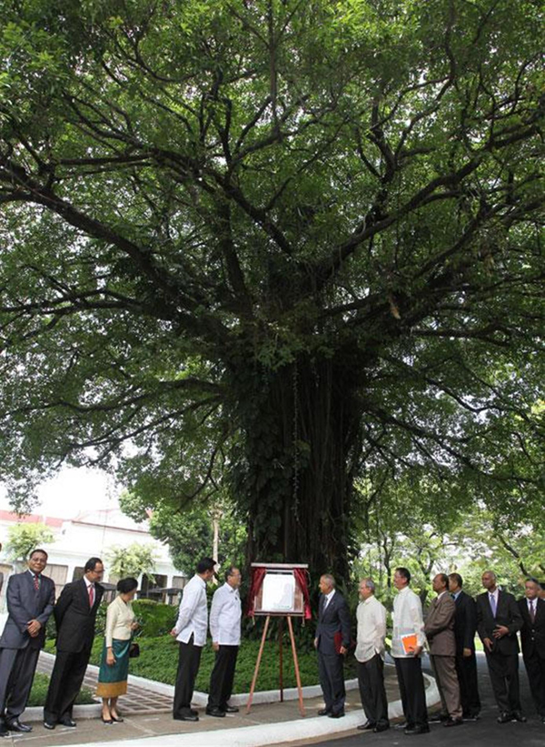 טקס חנוכת עץ הבאלט בארמון הנשיא הפיליפיני. באדיבות האתר אוגנאיין