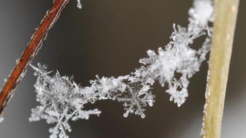 Storm 'Coral' brings rare snowfall to Jerusalem