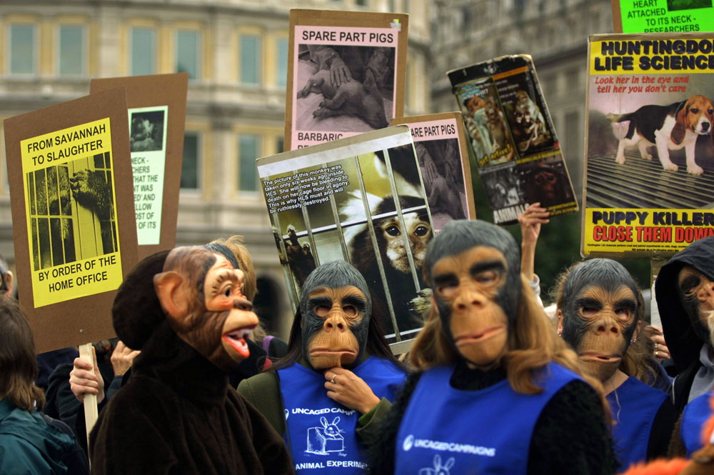 הפגנות באיטליה נגד ניסויים קוסמטיים בבעלי חיים (צילום: gettyimages)