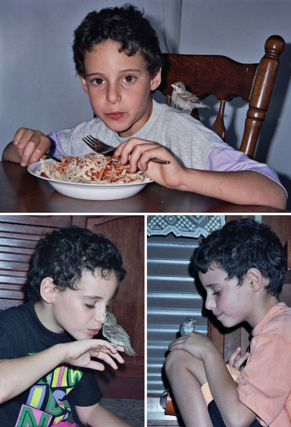 אורן והגוזל אוכלים ביחד ספגטי (למעלה) ומשחקים (צילום: אסנת לסטר)