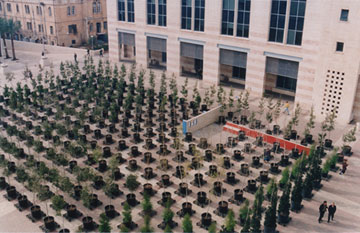 מיצב מס' 9 של ''החדר אדריכלים'' בכיכר ספרא. אז היו 500 עצים (צילום: החדר אדרכילים, חנן פומגרין ברד פינצ'וק בובי לוכסמבורג)