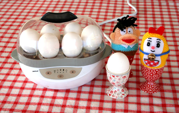מבשל ביצים חשמלי  (צילום: אסנת לסטר)
