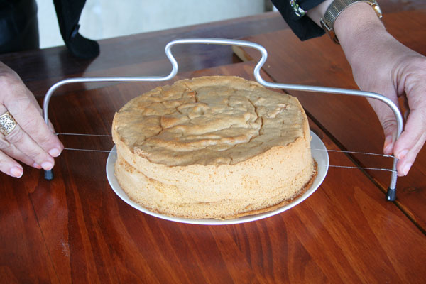 משורית לחיתוך עוגות (צילום: אסנת לסטר)