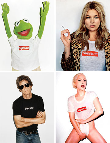 כוכבי קמפיינים קודמים של supreme: קרמיט הצפרדע, קייט מוס, ליידי גאגא ולו ריד