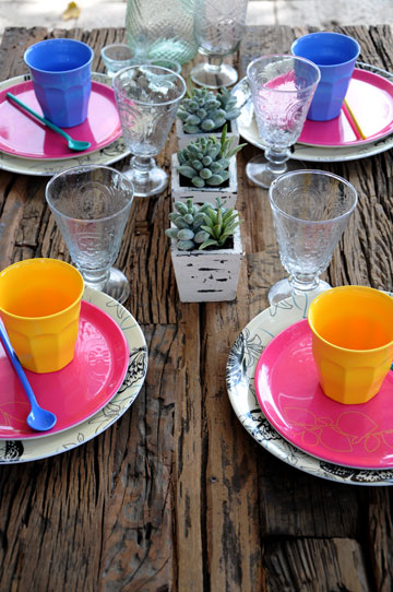 שולחן צבעוני עם עציצי סקולנטים קטנים (צילום: ליבת רות)