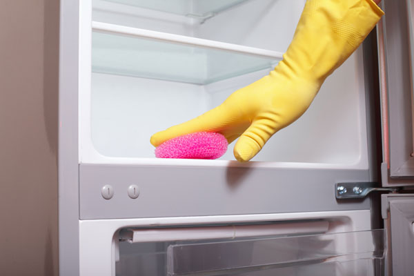 האבקה שתבריק לכם את המקרר (צילום: shutterstock)