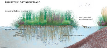איים בזרם: גידול חיידקים וצמחיית מים בערים שבנויות על מקורות מים (BioHaven® floateing Wetlands. מקור: אתר המתכננים Frog Envirinmental)