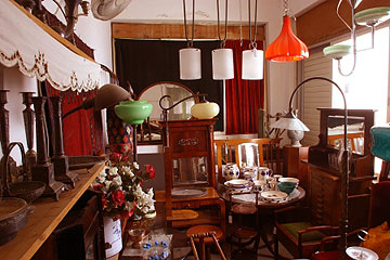 חלל הרהיטים של החנות ורוד ירוק (צילום: גלעד בן-שץ)