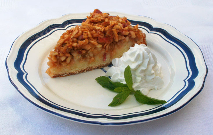 עוגת תפוחים (צילום: אסנת לסטר)