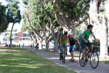 החיכוך בין רוכבי אופניים להולכי רגל רק גדל (צילום: דור נבו)