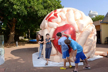 תערוכת המוח במכון ויצמן (צילום: איתי בלסון)