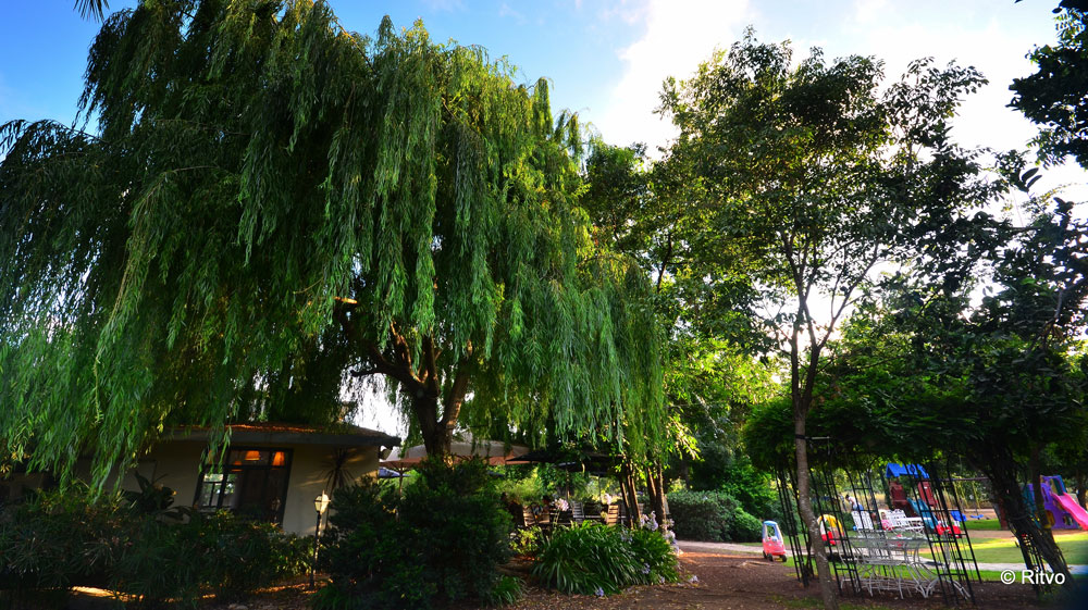 מסעדת בנחלה. בלב מטע של עצי פקאן מוקפת בכרי דשא ומשדרת שלווה פסטורלית (צילום:  Ritvo photography, באדיבות אוצרות הגליל)
