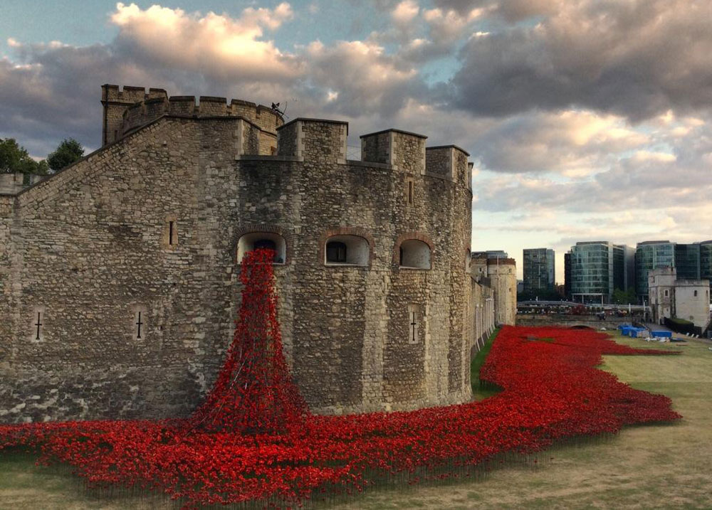 החפיר היבש סביב מצודת לונדון מולא בפרגים מקרמיקה: ב-11 בנובמבר, יום שביתת הנשק במלחמה העולם הראשונה, יוצב בו הפרג ה-888,246 - מספר ההרוגים הבריטים במלחמה שפרצה לפני מאה שנה