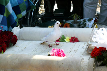 הקבר של עפרה חזה. היונה מסמלת יצור חופשי וטהור (צילום: מיכאל קרמר)