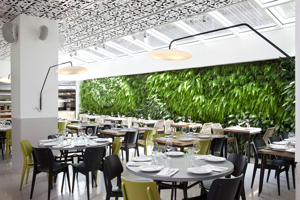 קירות ירוקים הם גם יפים וגם אפקטיביים. קיר המסעדה והלובי של מלון ''מנדלי'' בתל אביב, בעיצובם של אלון ברנוביץ' ואירנה קרוננברג (לחצו לצפייה) (צילום: עמית גרון)