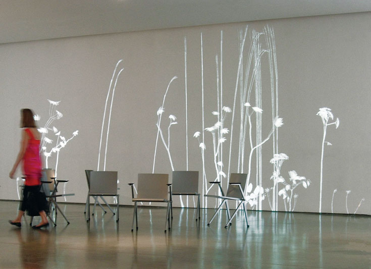 "זרדים של אור" - פרויקט דיגיטלי של סימון היידנס (צילום: Studio Simon Heijdens Ltd)